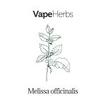 VapeHerbs – Melisa 30g – zioła do waporyzacji