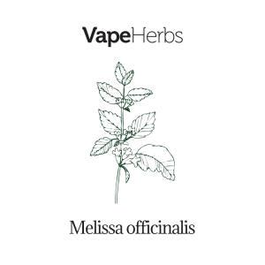 VapeHerbs – Melisa 30g – zioła do waporyzacji