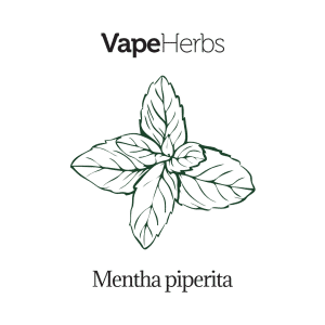 VapeHerbs – Mięta pieprzowa 30g – zioła do waporyzacji