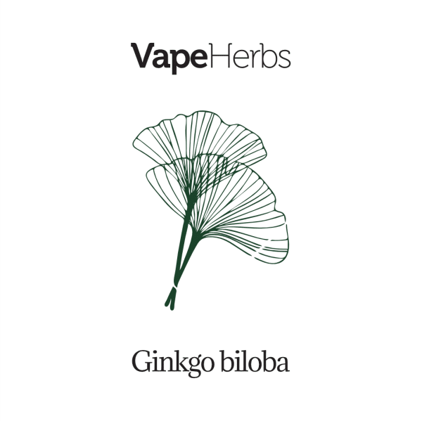 VapeHerbs – Miłorząb japoński 30g – zioła do waporyzacji