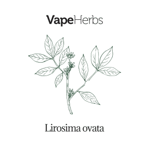 VapeHerbs – Muira puama 50g – zioła do waporyzacji