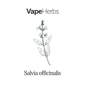 VapeHerbs – Szałwia lekarska 30g – zioła do waporyzacji