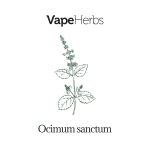 VapeHerbs – Tulsi – Bazylia azjatycka 30g – zioła do waporyzacji