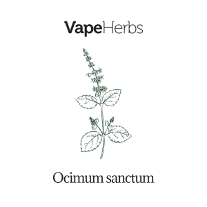 VapeHerbs – Tulsi – Bazylia azjatycka 30g – zioła do waporyzacji
