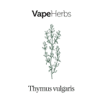 VapeHerbs – Tymianek 30g – zioła do waporyzacji