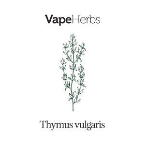 VapeHerbs – Tymianek 30g – zioła do waporyzacji