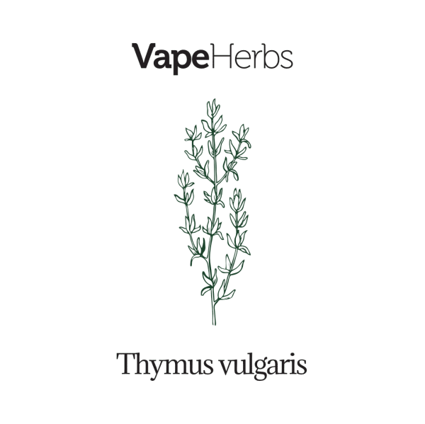 VapeHerbs – Tymianek 30g – zioła do waporyzacji