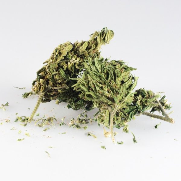 CBD+ hennepkruid 10g