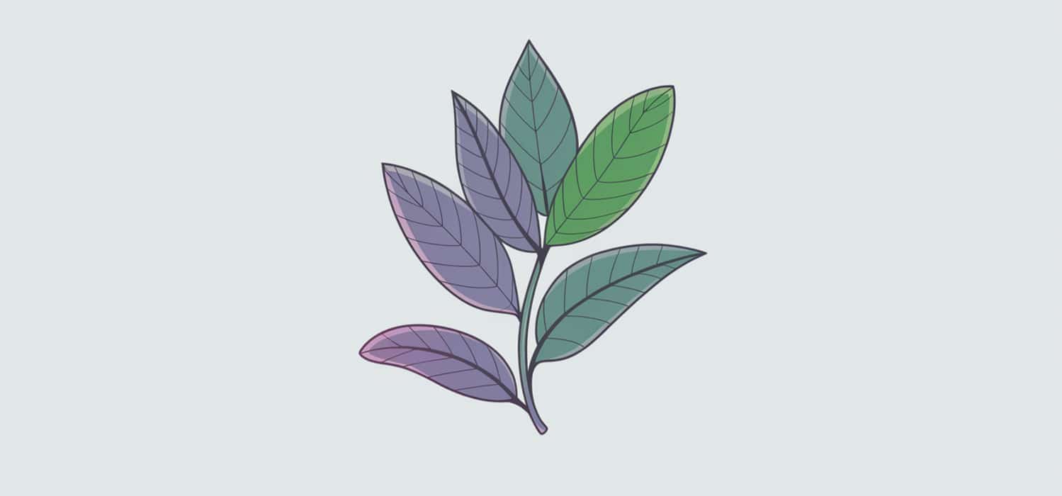 waporyzacja yerba mate