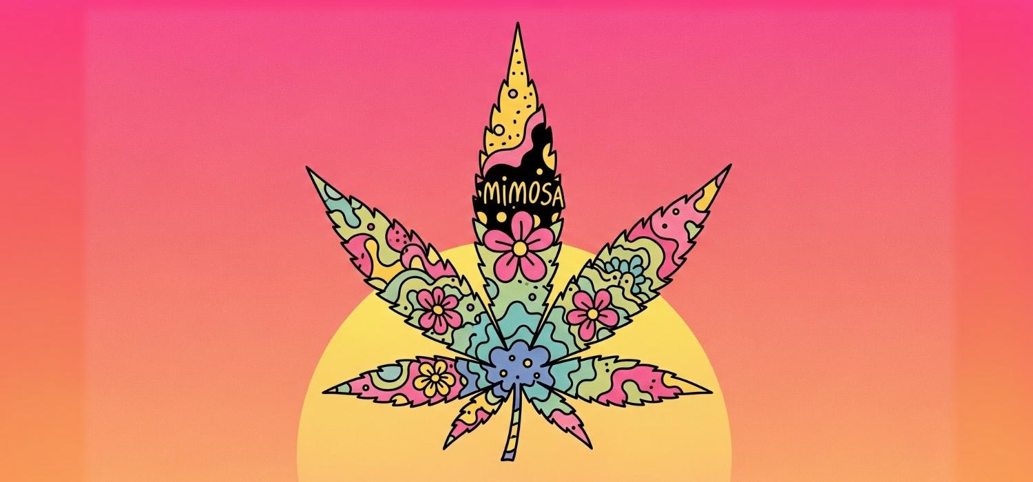 Odmiana Mimosa S-Lab