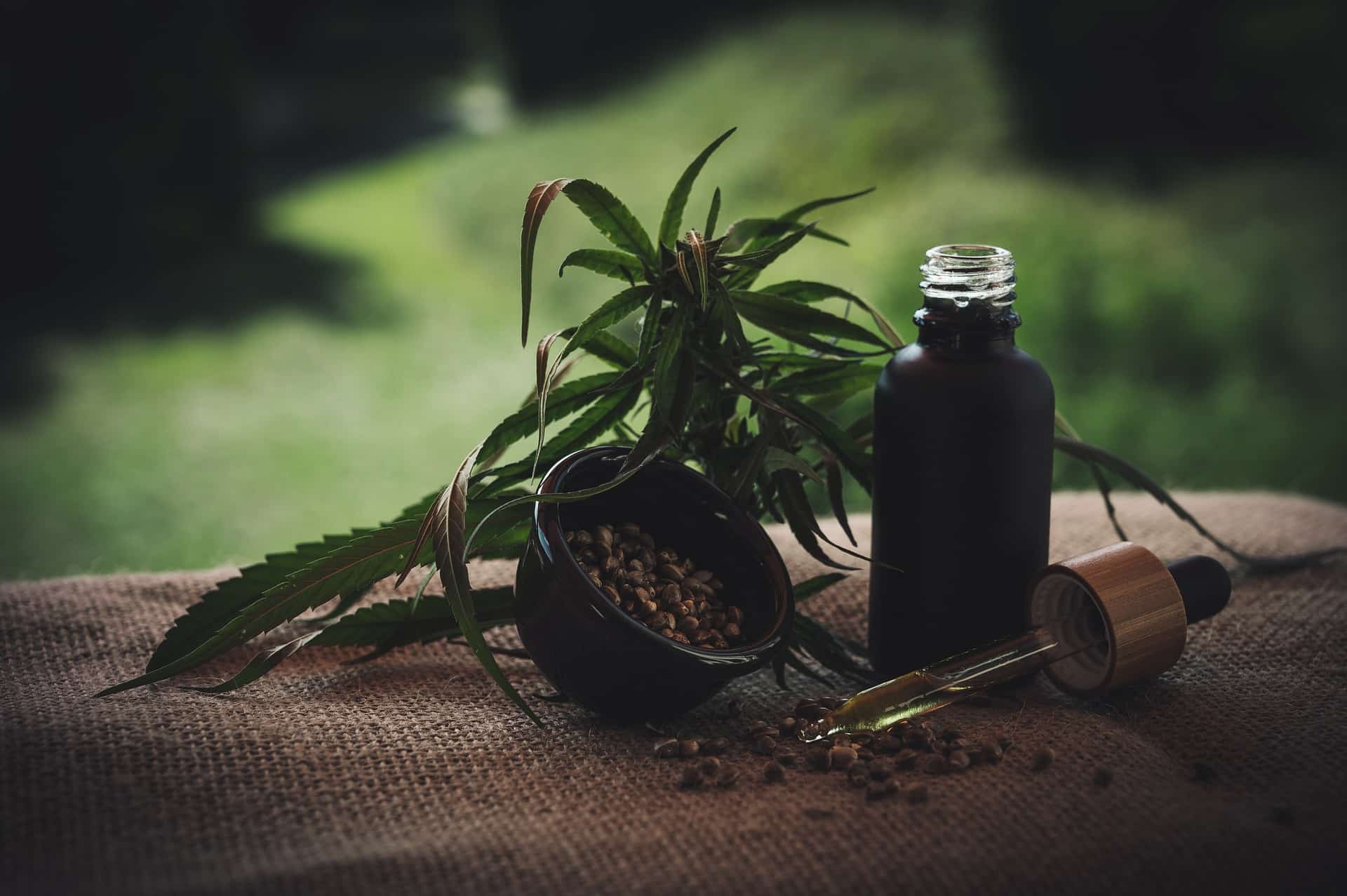 olej cbd - czy mozna laczyc z lekami?