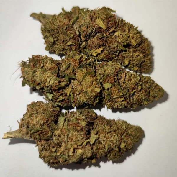 Freedom Farms – Susz CBD RED