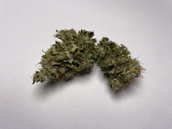 Medicuana – Fluffy Owl Susz CBG