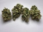 Medicuana – Fluffy Owl Susz CBG