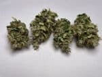 Medicuana – Fluffy Owl Susz CBG