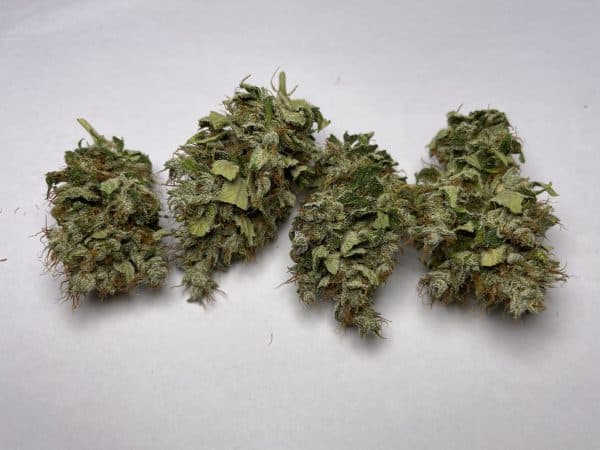 Medicuana – Fluffy Owl Susz CBG