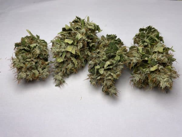 Medicuana – Fluffy Owl Susz CBG