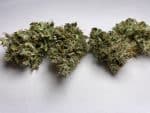 Medicuana – Fluffy Owl Susz CBG