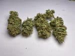 Medicuana – Sunny Sunrise Susz CBG