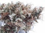 Medicuana – CBG One Susz CBG