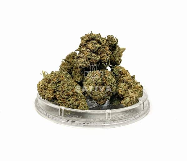 Sativa Poland – Lemon Grass Special Edition 3,5g Susz CBD