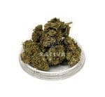 Sativa Poland – Lemon Grass Special Edition 3,5g Susz CBD