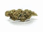 Sativa Poland – Zkittlez Special Edition 3,5g Susz CBD