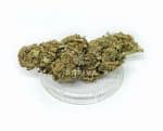 Sativa Poland – Zkittlez Special Edition 3,5g Susz CBD