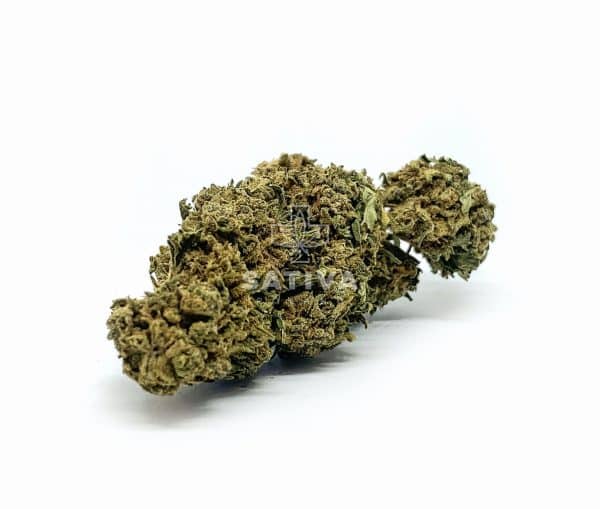 Sativa Poland – Zkittlez Special Edition 3,5g Susz CBD
