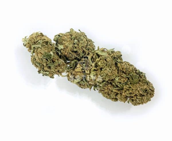 Sativa Poland – Zkittlez Special Edition 3,5g Susz CBD