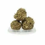 Sativa Poland – Hawaii Haze Susz CBD