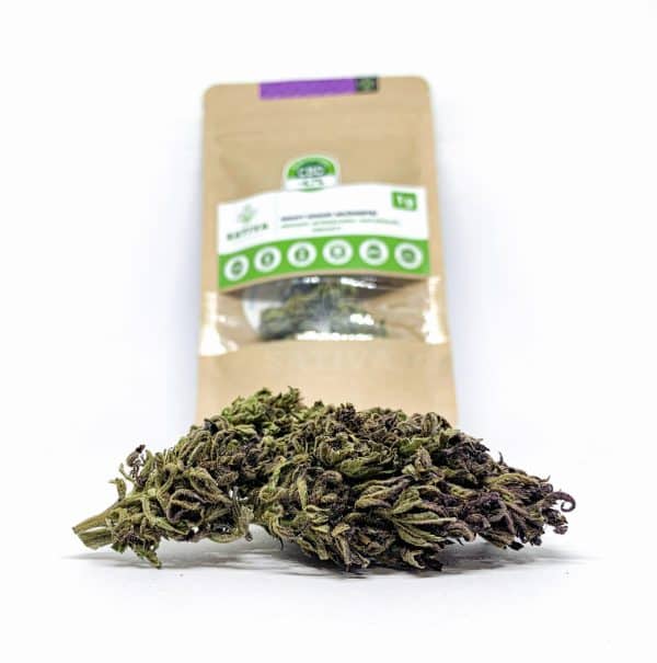 Sativa Poland – Purple Haze Susz CBD