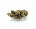 Sativa Poland – Super Silver Haze Susz CBD