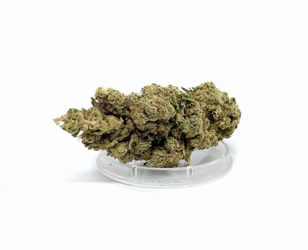 Sativa Poland – Super Silver Haze Susz CBD