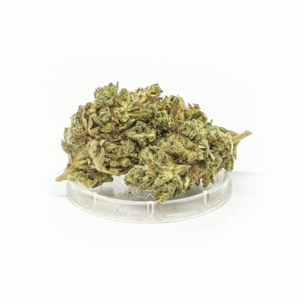 Sativa Poland – Tangerine Dream Susz CBD