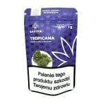 Sativa Poland – Tropicana Susz CBD