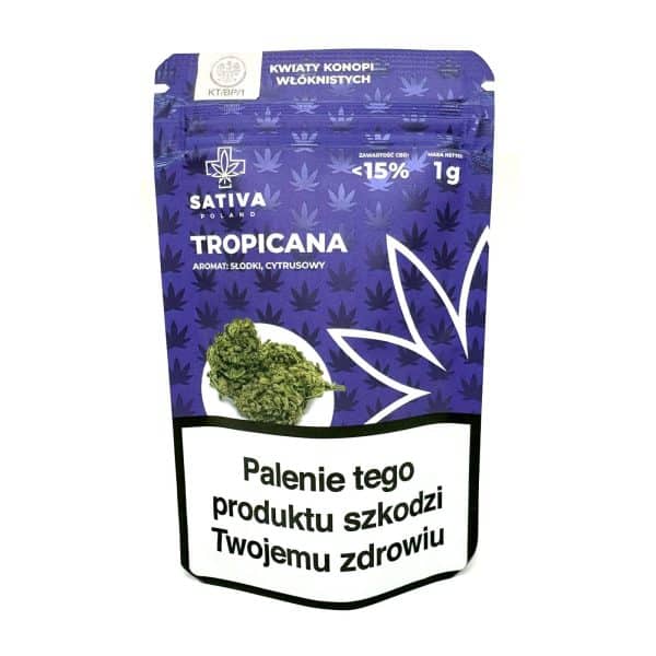 Sativa Poland – Tropicana Susz CBD