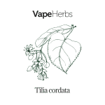 VapeHerbs – Lipa 30g – zioła do waporyzacji