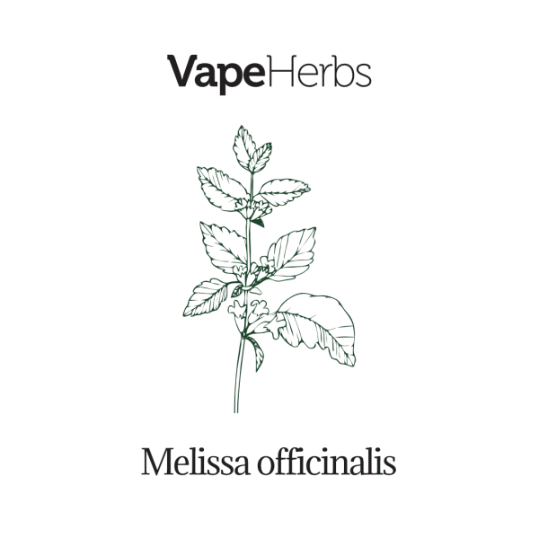 VapeHerbs – Melisa 30g – zioła do waporyzacji