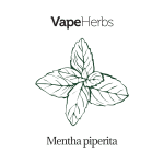 VapeHerbs – Mięta pieprzowa 30g – zioła do waporyzacji
