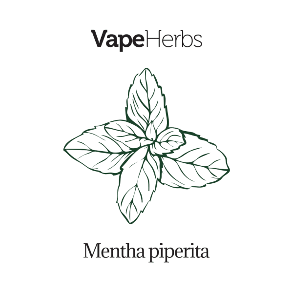 VapeHerbs – Mięta pieprzowa 30g – zioła do waporyzacji