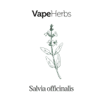 VapeHerbs – Szałwia lekarska 30g – zioła do waporyzacji
