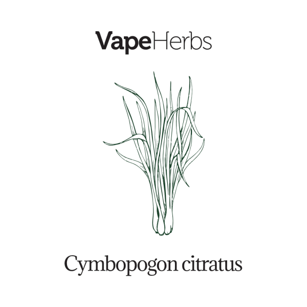 VapeHerbs – Trawa cytrynowa 30g – zioła do waporyzacji