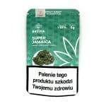 Sativa Poland – Super Jamaica Susz CBD Sativa Poland – Super Jamaica Susz CBD