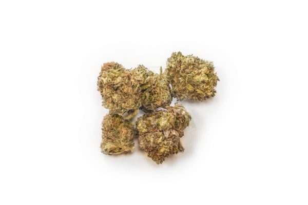 Sativa Poľsko Medi Haze