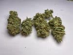 Medicuana – Sunny Sunrise Sušené CBG