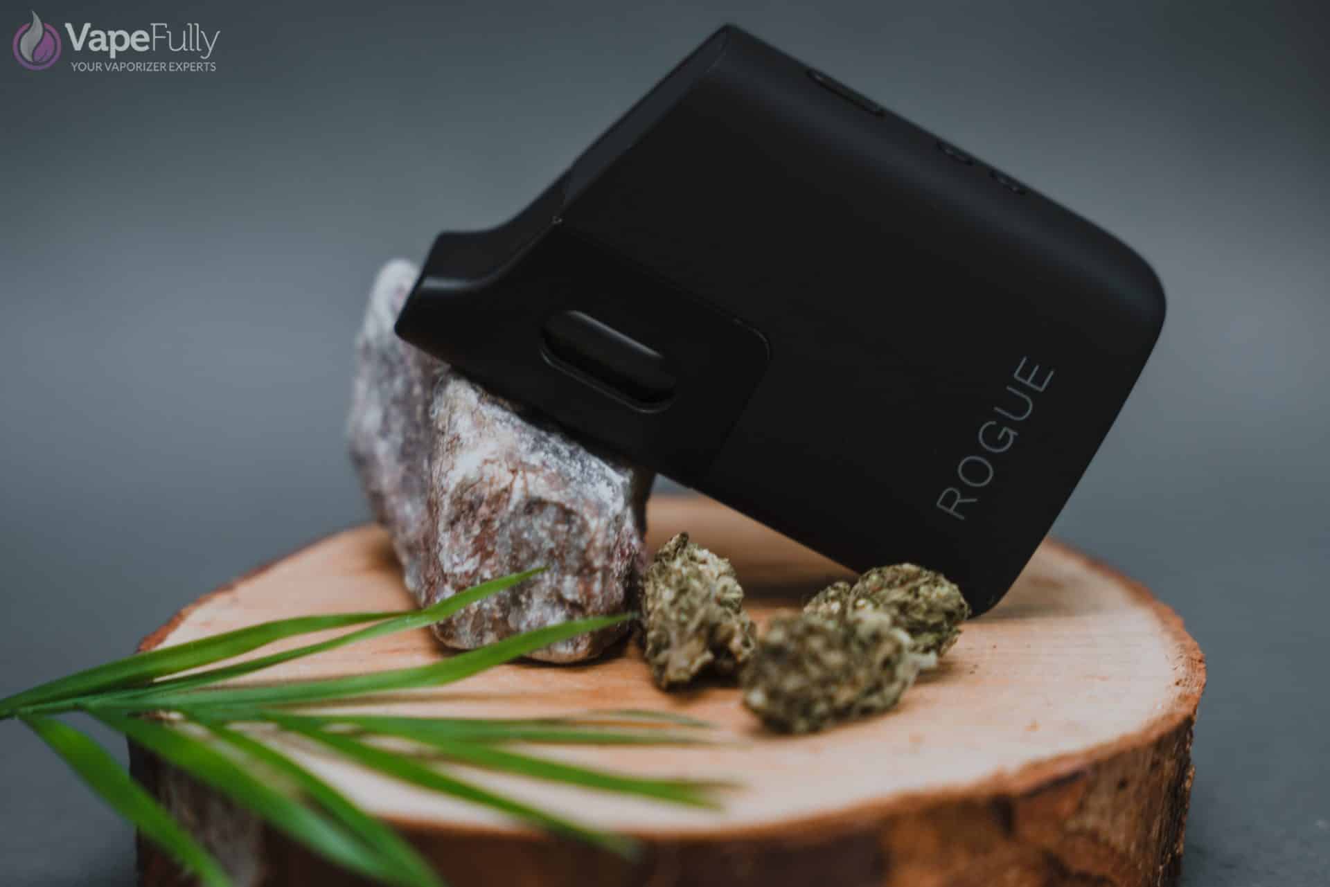 Recenzja Healthy Rips Rogue SE – potężna moc w dyskretnej obudowie