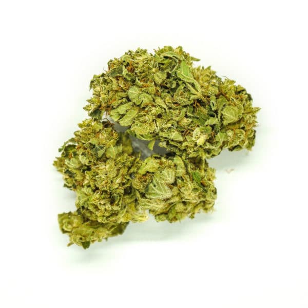 Sativa Poland – Gorilla Glue