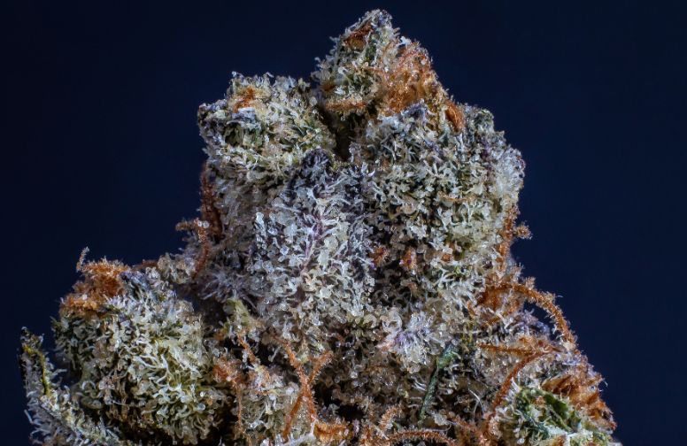 Hemp dry herb