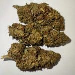 Freedom Farms – RED CBD Flower